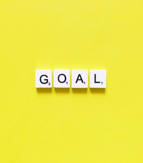 Goal/goals